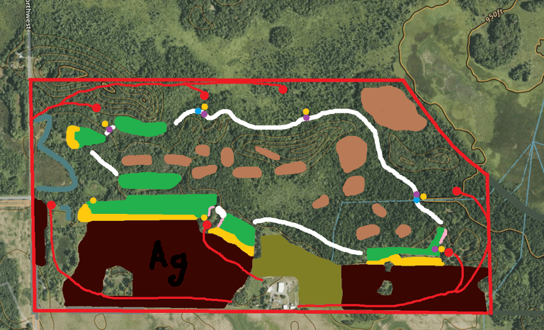 whitetail habitat property design
