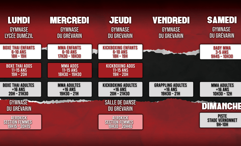 Planning boxe MMA 2025 2026