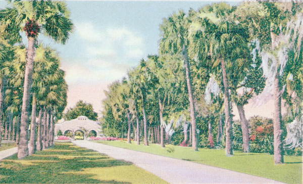 old postcard of entrance to fountain of youth in st augustine, fl