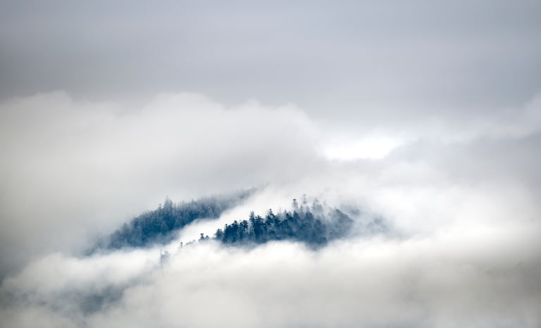 paysage d'hiver des Vosges - photo vincent ganaye