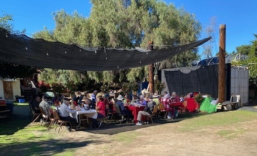 Group of people dining outside under shadecloth