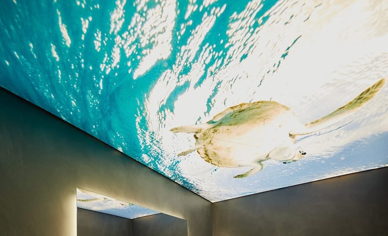 Beleuchtete Spanndecke mit Unterwassermotiv, das eine Schildkröte zeigt.