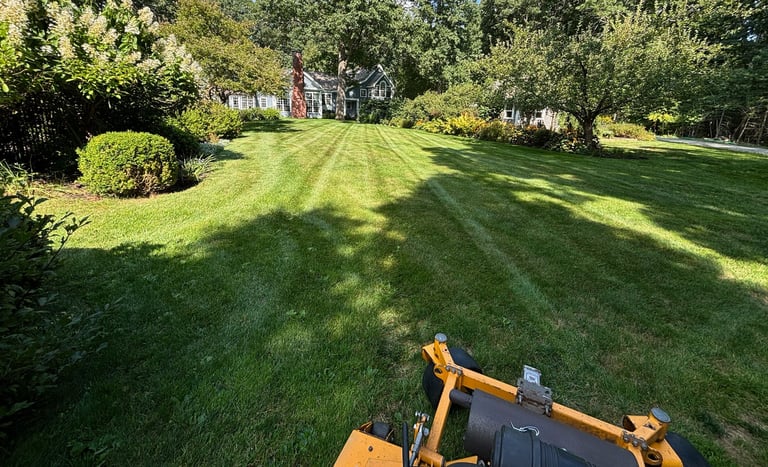 lawn-maintenance-in-north-shore-residential-yard