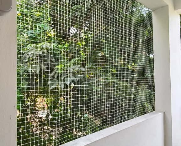 Anti Pigeon nets in Bangalore