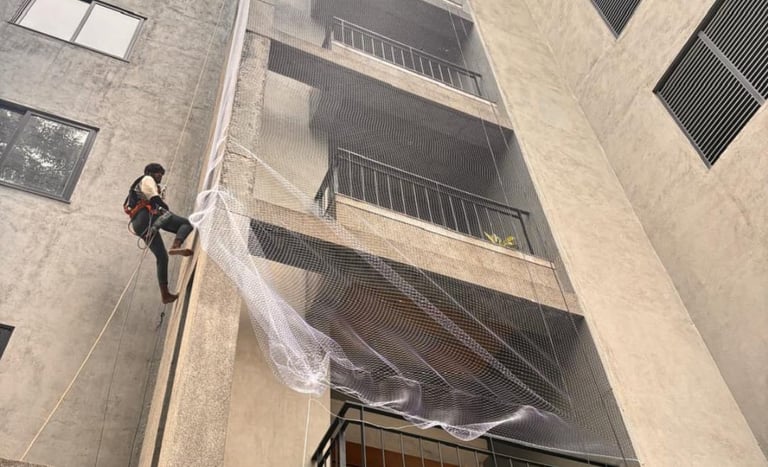 anti pigeon nets in marathahalli