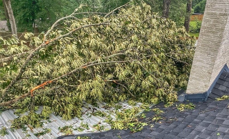 Storm knocked over tree on customer's roof in Tyler, TX, requiring full removal & patio replacement