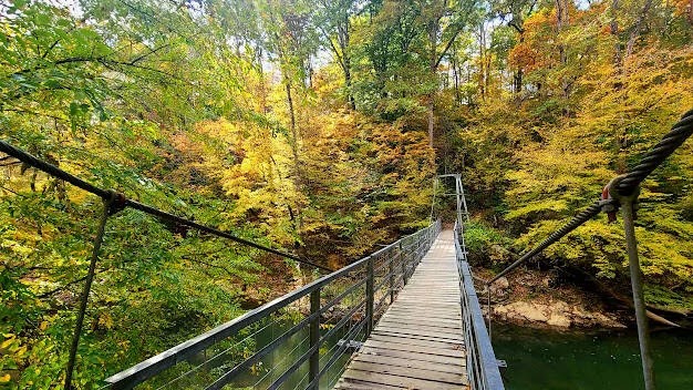 Chattanooga - Audubon Acres has a swinging bridge across S. Chickamauga Creek