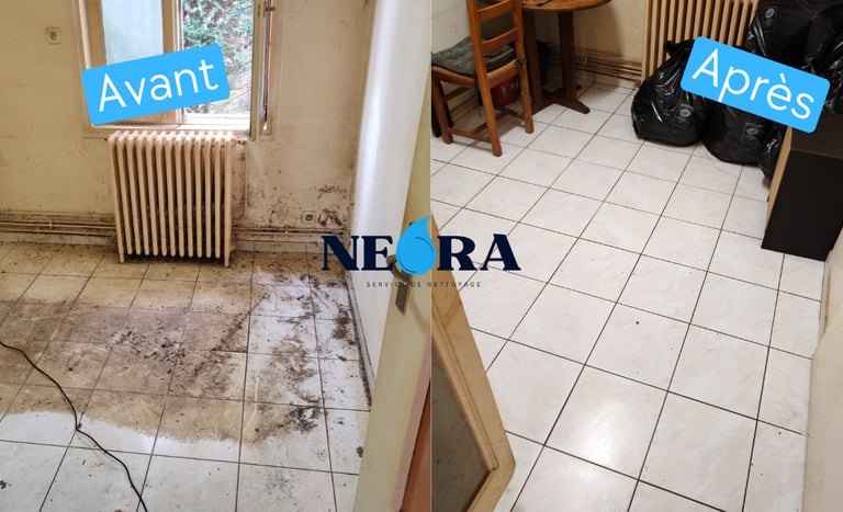 nettoyage logement insalubre la rochelle avant apres remise en etat sol