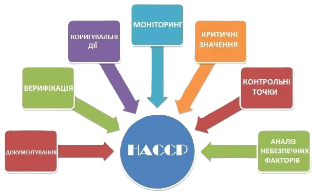 дубровиця садок 1