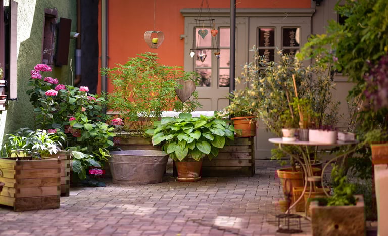 espace extérieur gite ribeauvillé