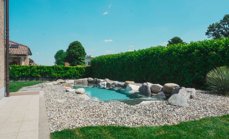 Giardino valorizzato con piscina scenografica e illuminazione esterna