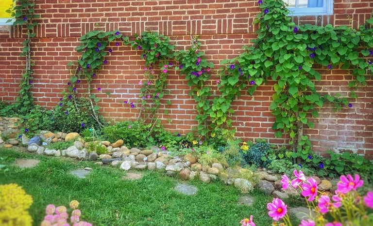 Virginia LOVE sign made from flowers and vines at 2123 Rivermont Apartments