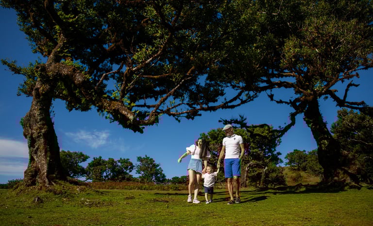 family with toddler son walking hand-in-hand under dramatic ancient trees at Fanal Forest