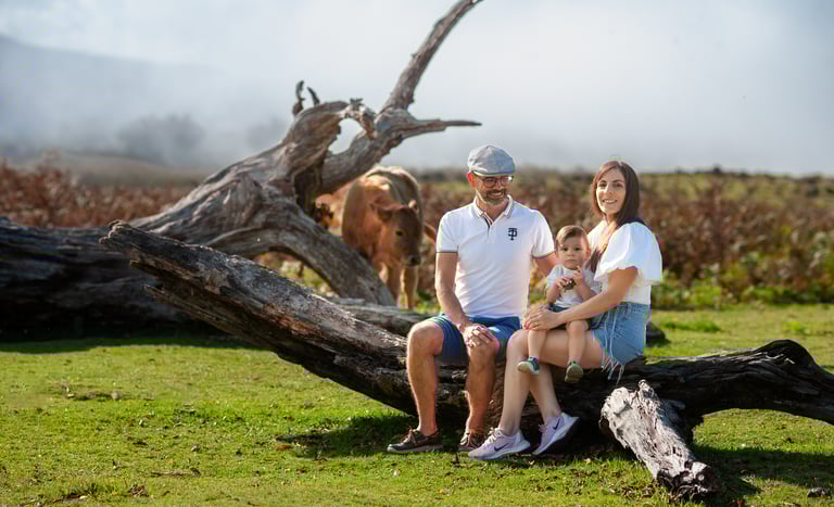Family sitting together on fallen log in meadow, misty hills and grazing cows visible in background.