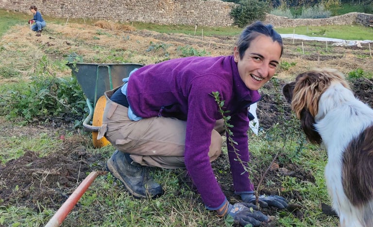 smiling woman crouching as she places a plant in the earth