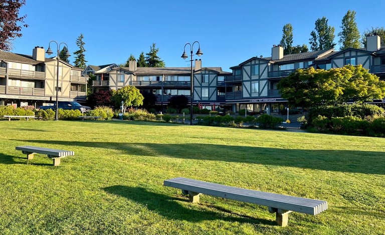 Commercial Landscape Maintenance, Lawn mowing care, Condo and Retail space