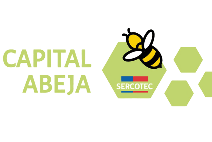 Capital Abeja SERCOTEC. Financiamiento para emprendedoras en Chile con Profity.cl.