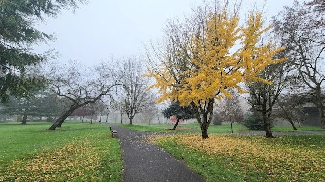 Roseburg - Stewart Park has nature trails & activities like disc golf, tennis, skate park & more