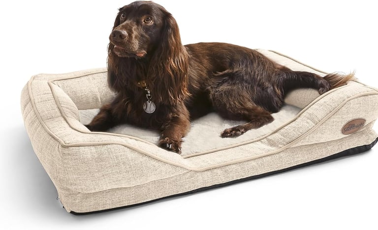 Dog relaxing in bed