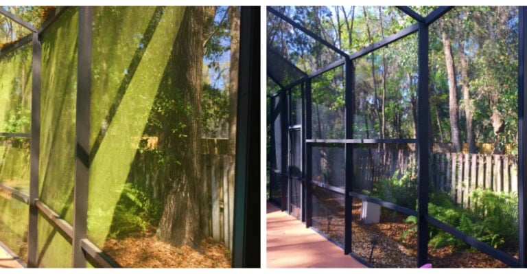 Split image showing a pool cage screen enclosure before and after cleaning with Land O' Lakes, FL