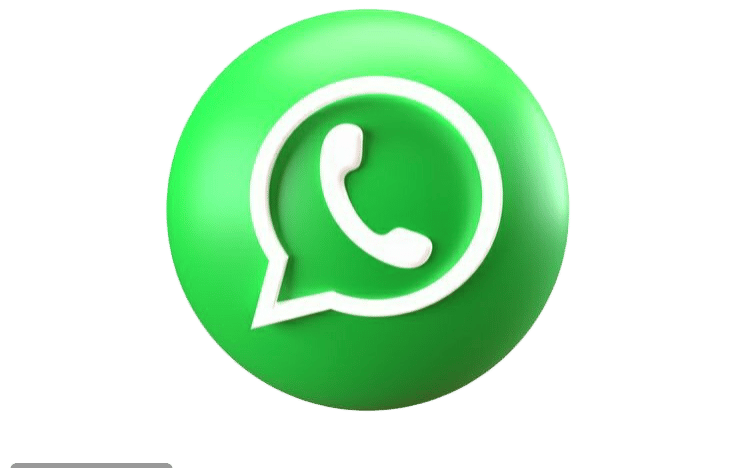 WhatsApp booking icon for Pac Tour Excursions Bayahibe excursions