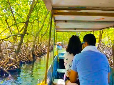 City tour plus mangrove channels