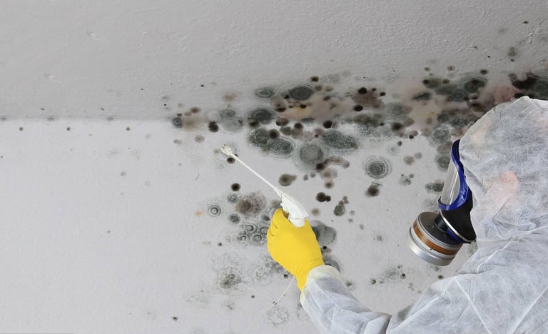 NHC réhabilitation logement assainissement des moisissures.