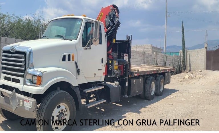 grùa articulada a control remoto o manual