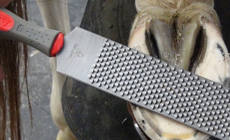 Farrier Bellota