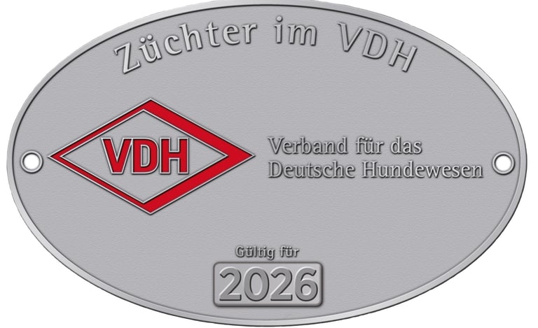 Husky-Erlebnisse, Husky-Ausfahrten, Husky-Trekkingtouren, Husky Abenteuer, Dietfurt, Bayern