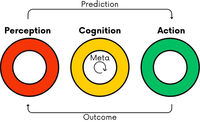 a diagram of the perception-cognition-action-outcome feedback loop