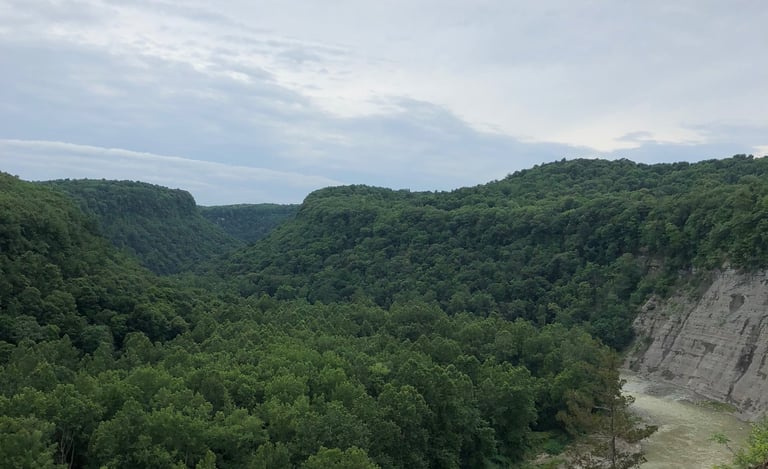 View over Genesee River in New York's Grand Canyon