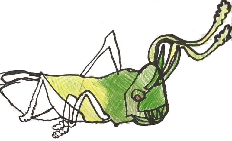 drawing of a grasshopper