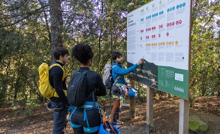 guia explicando a grupo