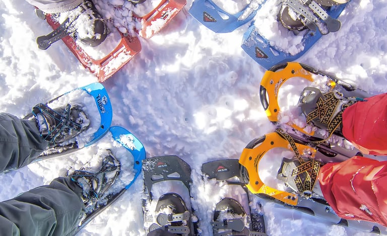 grupo de raquetas de nieve en circulo