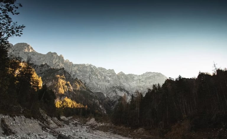 Links und rechts dunkler Wald und in der Mitte des Bildes eine Bergkette