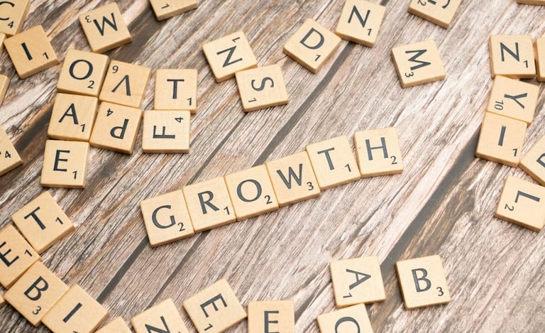Image of the text growth in puzzle pieces