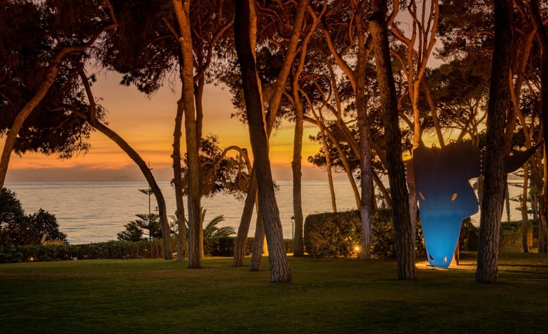 Sunset through the trees at Villa El Rincon