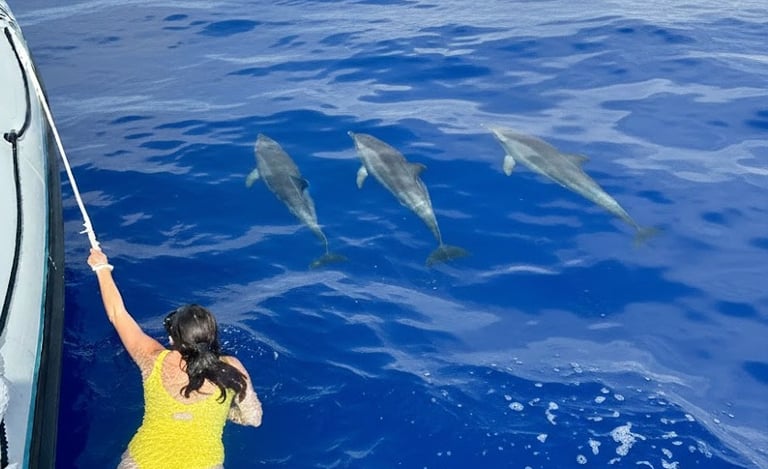 A person in a yellow swimsuit swimming in the ocean next to three dolphins near a boat.