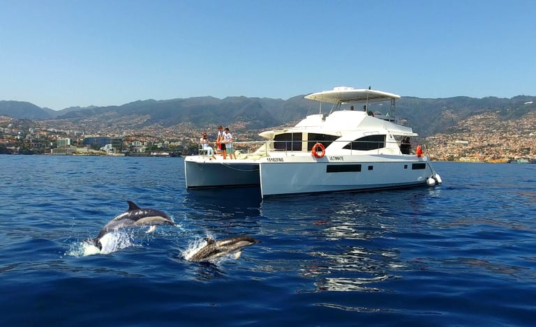 Two dolphins leaping in front of the VIP Dolphins "Ultimate" catamaran with the Madeira coastline in the background.