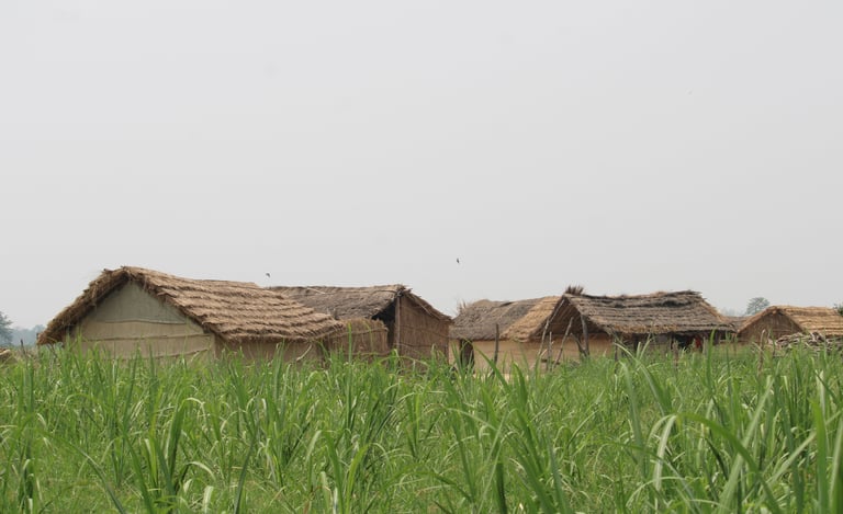 village near mohana river