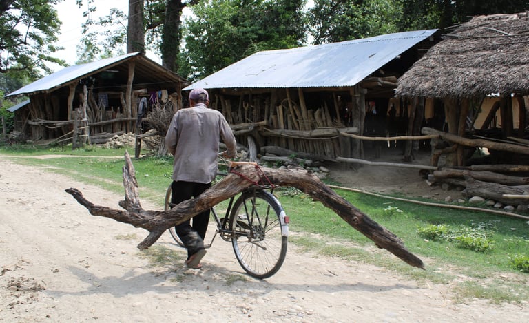 collecting wood in the village of Thakurdwara