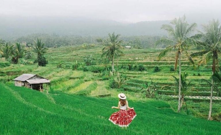 Jatiluwih Bali