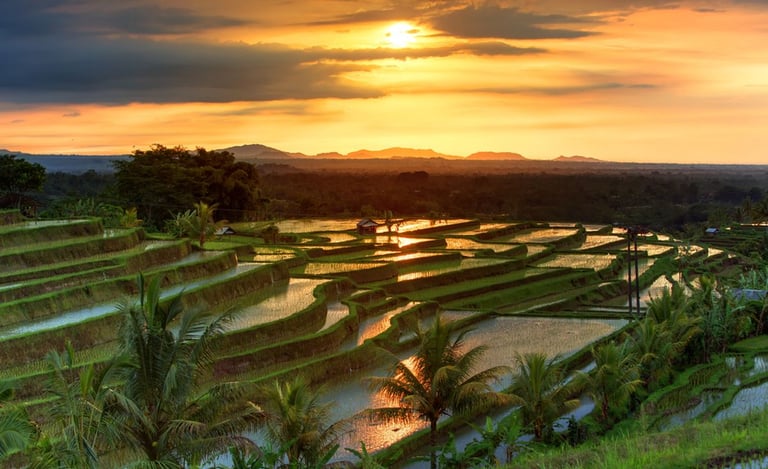 Jatiluwih Bali