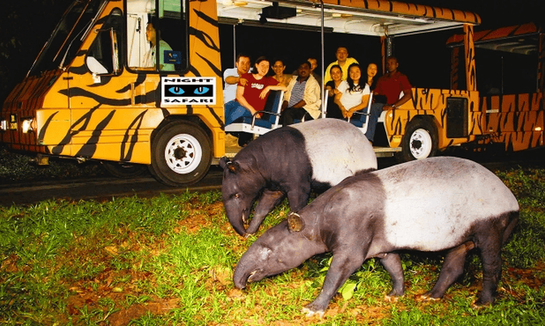 Bali Safari Night Safari