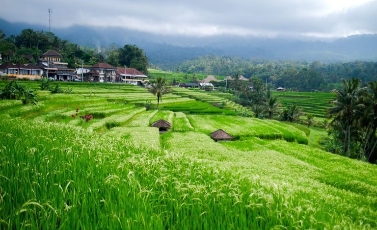Jatiluwih Bali