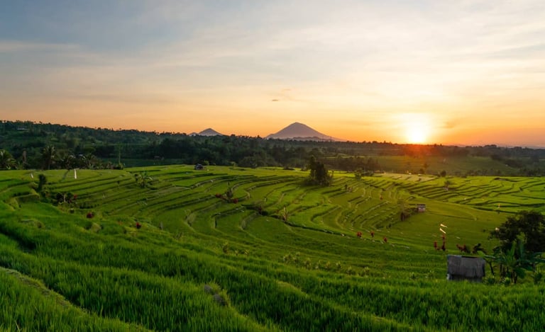 Jatiluwih Bali