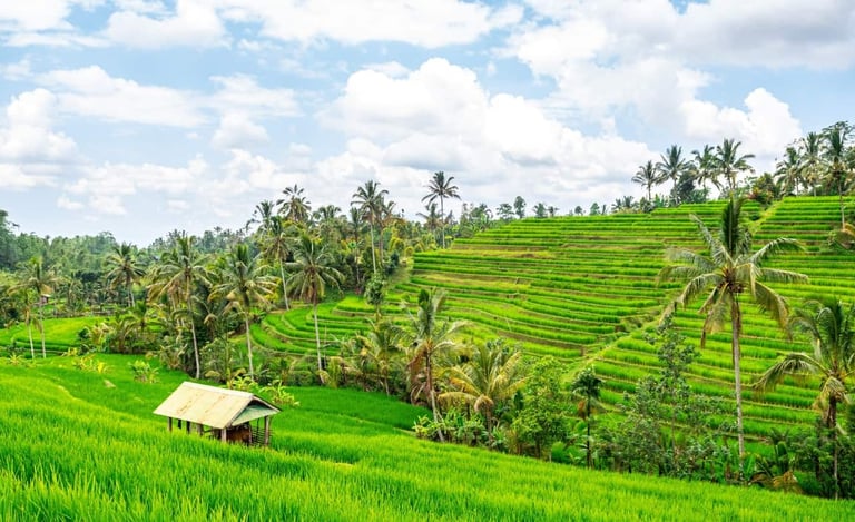 Jatiluwih Bali