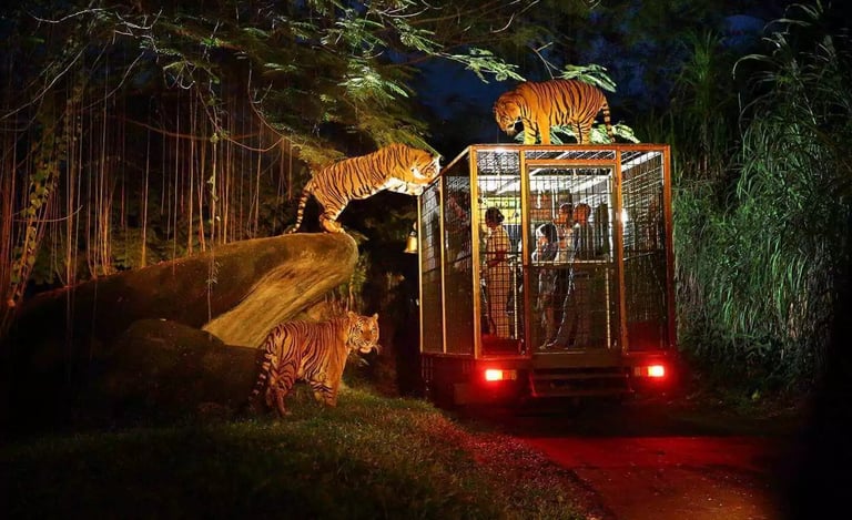 Bali Safari Night Safari