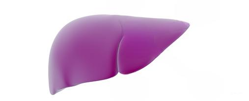 the liver